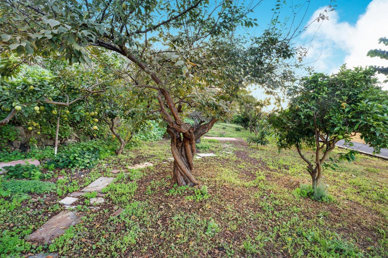 Вілла Casa La Victoria La Victoria de Acentejo Екстер'єр фото